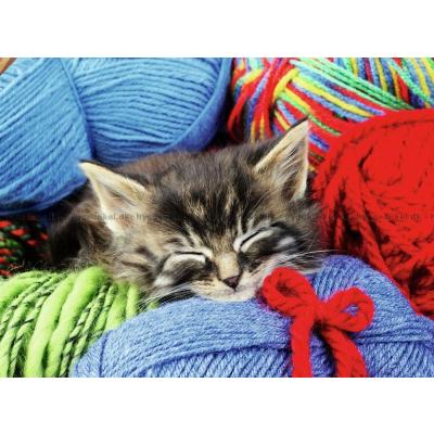 Bilde av Katten blant garnnøkkelen, 100 brikker