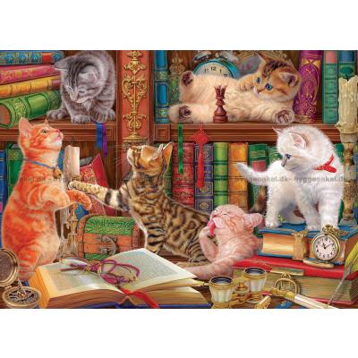 Bilde av Kattungene på biblioteket, 1000 brikker