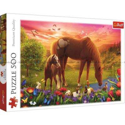 Føll blomster og vårglede, 500 brikker