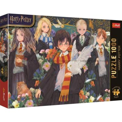 Harry Potter, 1000 brikker