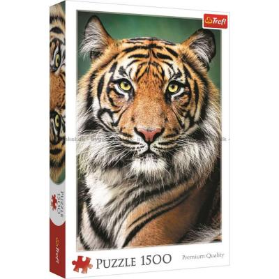 Tigerens blikk, 1500 brikker