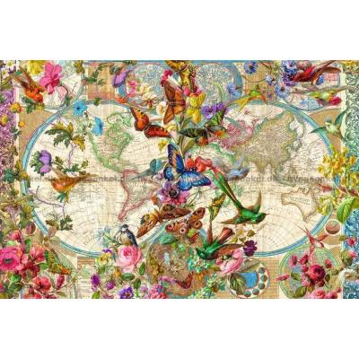 Bilde av Verdenskart: Blomster og sommerfugler, 3000 brikker