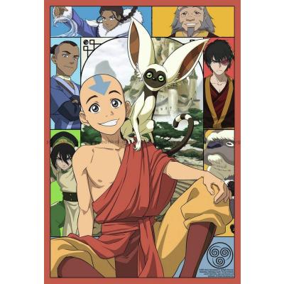 Avatar The Last Airbender, 300 brikker