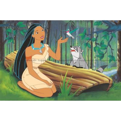 Bilde av Disney: Pocahontas, 600 brikker