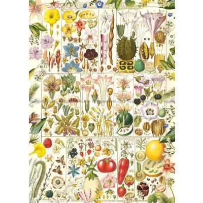 Bilde av Botanisk lykke, 1000 brikker