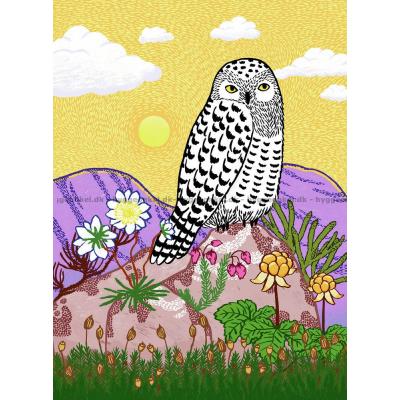 Ugla på fjellet, 500 brikker