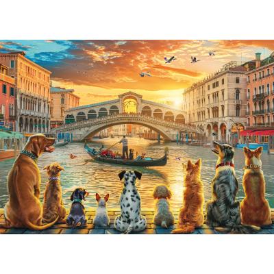 Bilde av Chesterman: Hundene nyter Venezia, 1000 brikker