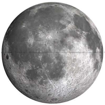 Månen - Rundt puslespill, 570 brikker