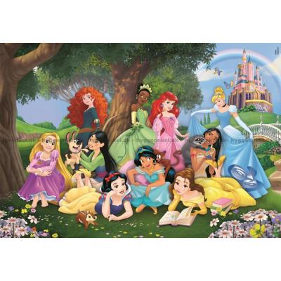 Bilde av Disney-prinsesser: I slottsparken, 104 brikker