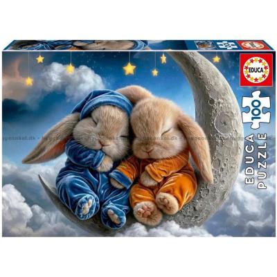 Drømmer på månen, 100 brikker