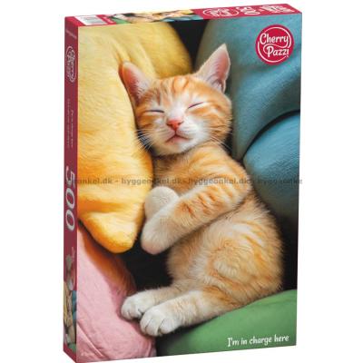 Sovende sjarm, 500 brikker