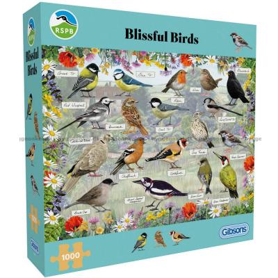 Osbaldstone: Hagens fugler, 1000 brikker