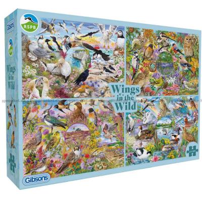 Daughters: Fugleliv ved kysten, 4x500 brikker