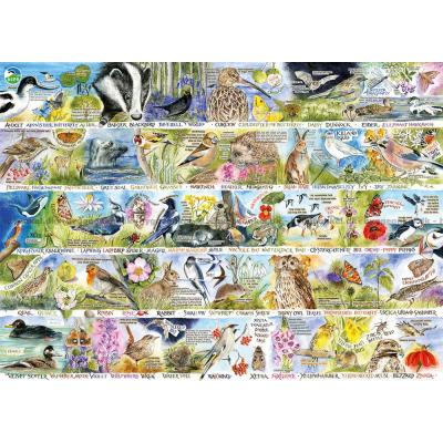 Bilde av Goldfinch: Naturens mangfold, 1000 brikker