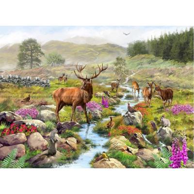 Bilde av Macneil: Stille morgen i naturen, 1000 brikker