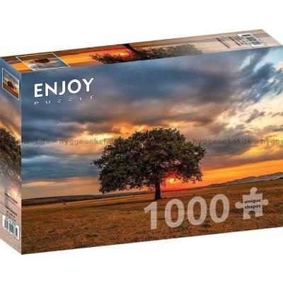 Bilde av Solnedgang ved eiketreet, 1000 brikker