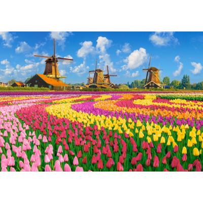 Bilde av Fargerike tulipanmarker i Nederland, 1000 brikker