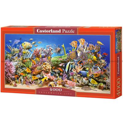 Korallrevets spennende liv - Panorama, 4000 brikker