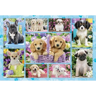 Bilde av Hundevalper - Collage, 200 brikker