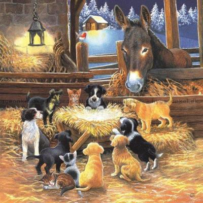 Bilde av Snelling: Barnyard Nativity, 500 brikker