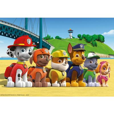 Bilde av Paw Patrol, 2x24 brikker