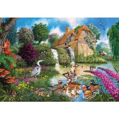 Bilde av Francis: Flora og fauna, 4x500 brikker