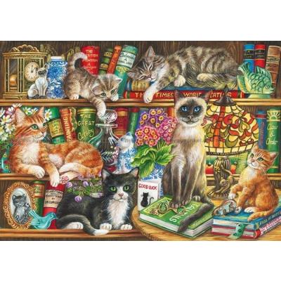 Yates: Katter i bokhyllen, 1000 brikker