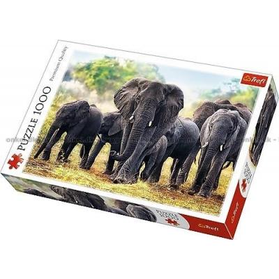 Afrikanske elefanter, 1000 brikker