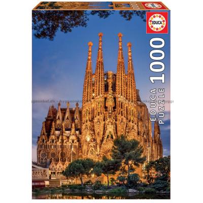 Sagrada Familia, 1000 brikker