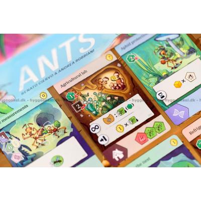 Bilde av Ants