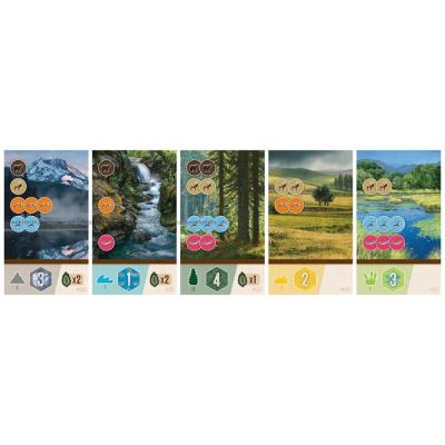 Bilde av Cascadia: Rolling Rivers - Roll & Write
