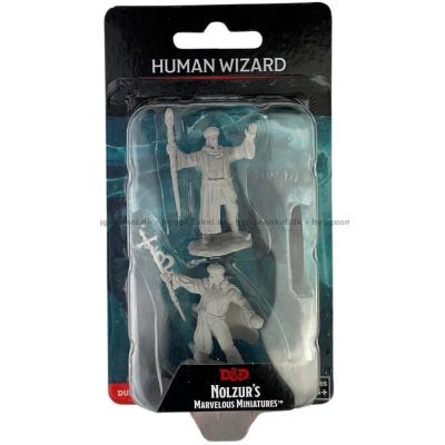 D&D: Nolzurs Marvelous Miniature - Human Wizard Male
