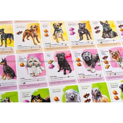 Bilde av Dog Park