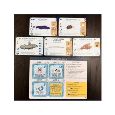 Bilde av Finspan: Sharks & Reefs