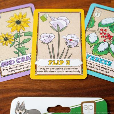 Bilde av Flip 7: National Parks