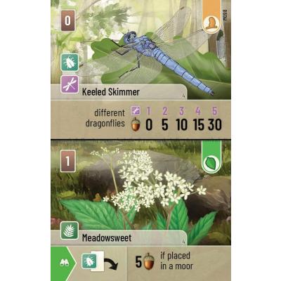 Bilde av Forest Shuffle: Dartmoor