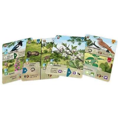 Bilde av Forest Shuffle: Woodland Edge