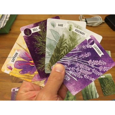 Bilde av Herbaceous