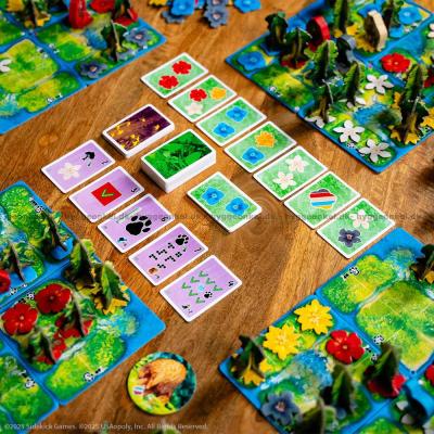 Bilde av HUTAN: Life of the Rainforest