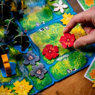 Bilde av HUTAN: Life of the Rainforest