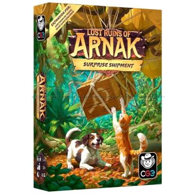 Lost Ruins of Arnak: Surprise Shipment