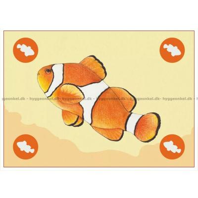 Bilde av Ocean: Great Barrier Reef