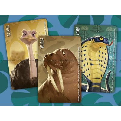 Bilde av Similo: Wild Animals - Engelsk