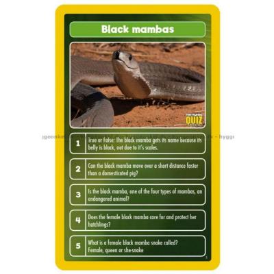Bilde av Top Trumps Quiz: The World of Animals