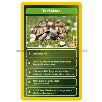 Bilde av Top Trumps Quiz: The World of Animals