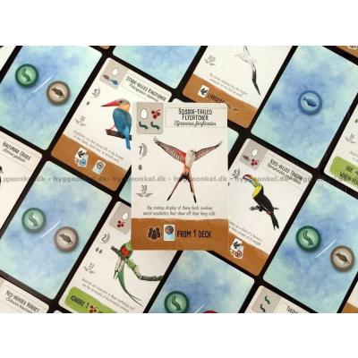 Bilde av Wingspan: Pocket - Engelsk
