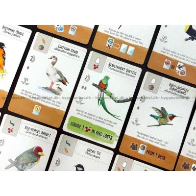 Bilde av Wingspan: Pocket - Engelsk