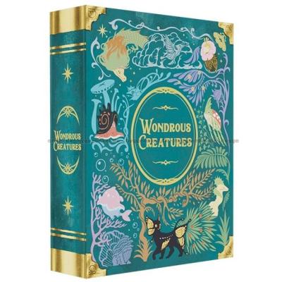 Bilde av Wondrous Creatures sett skrått ovenfra